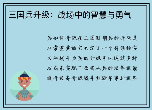 三国兵升级：战场中的智慧与勇气